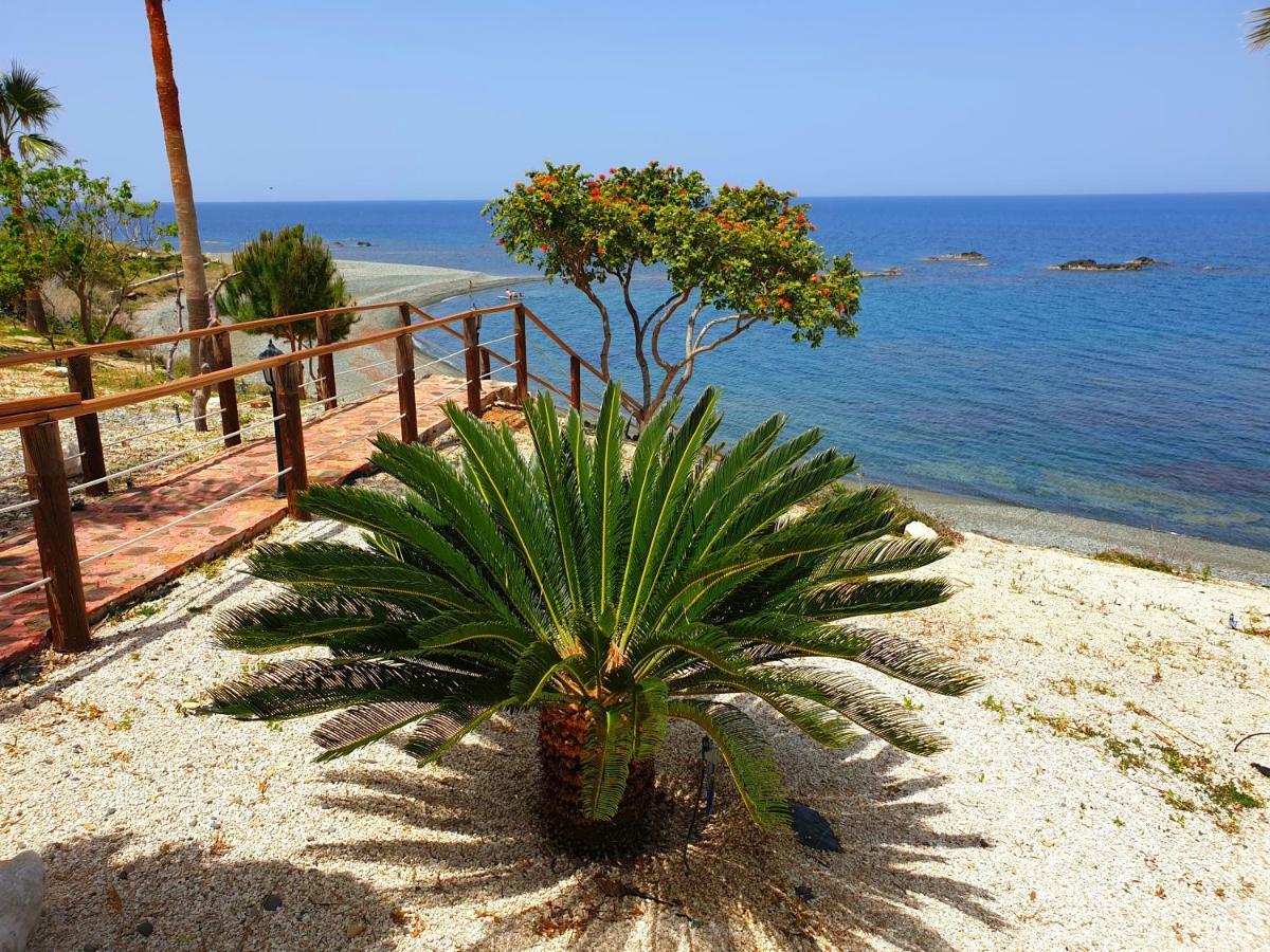 Astrofegia Beachfront Villa Pomos Eksteriør billede